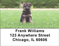 German Shepherd Puppies Address Labels