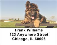 German Shepherd Puppies Address Labels