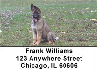 German Shepherd Puppies Address Labels