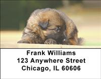 German Shepherd Puppies Address Labels