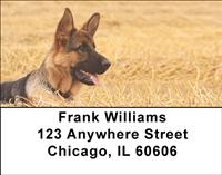 Alert German Shepherds Address Labels