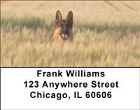 Alert German Shepherds Address Labels