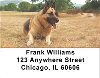 Alert German Shepherds Address Labels