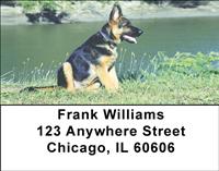 German Shepherds On The Grass Address Labels