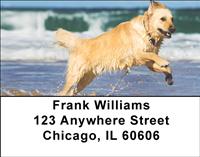 Golden Retrievers On The Beach Address Labels