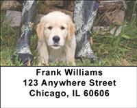 Golden Pups Outdoors Address Labels