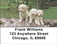 Golden Puppy Pals Address Labels