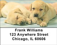 Golden Puppy Pals Address Labels