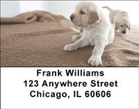 Golden Puppy Pals Address Labels