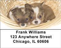Basket of Chihuahuas Address Labels