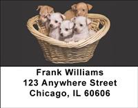 Basket of Chihuahuas Address Labels