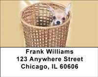 Basket of Chihuahuas Address Labels