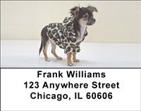 Stylish Chihuahuas Address Labels