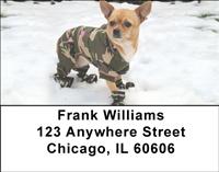 Stylish Chihuahuas Address Labels