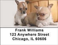Chihuahua Pals Address Labels