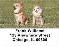Chihuahua Pals Address Labels