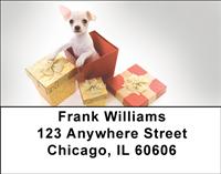 Chihuahua Surprise Address Labels