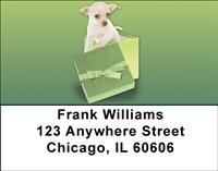 Chihuahua Surprise Address Labels