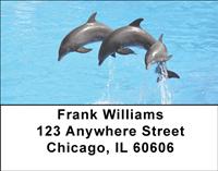 Leaping Dolphins Address Labels