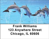 Leaping Dolphins Address Labels