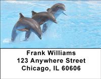 Leaping Dolphins Address Labels
