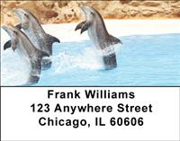 Leaping Dolphins Address Labels