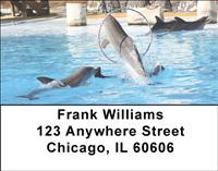 Dolphin Tricks Address Labels