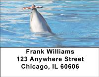 Dolphin Tricks Address Labels