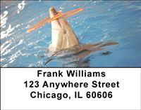 Dolphin Tricks Address Labels