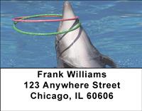 Dolphin Tricks Address Labels