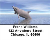 Illustrative Dolphins Address Labels