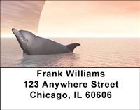 Illustrative Dolphins Address Labels