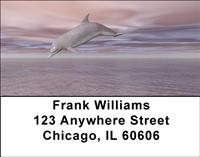 Illustrative Dolphins Address Labels