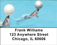 Playful Dolphins Address Labels