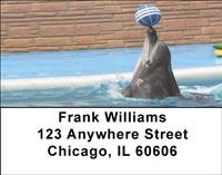 Playful Dolphins Address Labels