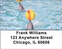 Playful Dolphins Address Labels