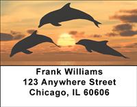 Dolphins At Sunset Address Labels