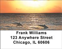 Dolphins At Sunset Address Labels