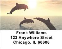 Dolphins At Sunset Address Labels