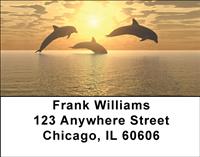 Dolphins At Sunset Address Labels