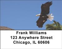 Bald Eagle In Flight Address Labels