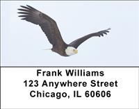 Bald Eagle In Flight Address Labels