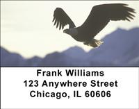 Bald Eagle In Flight Address Labels