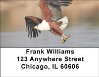Fish Eagles Address Labels