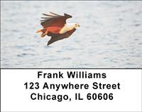 Fish Eagles Address Labels