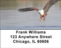 Fish Eagles Address Labels