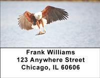 Fish Eagles Address Labels