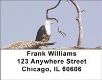 Perching Eagles Address Labels
