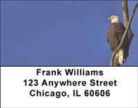 Perching Eagles Address Labels