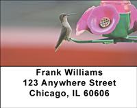 Hummingbirds On Feeders Address Labels